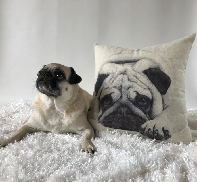 Pug pillow best sale